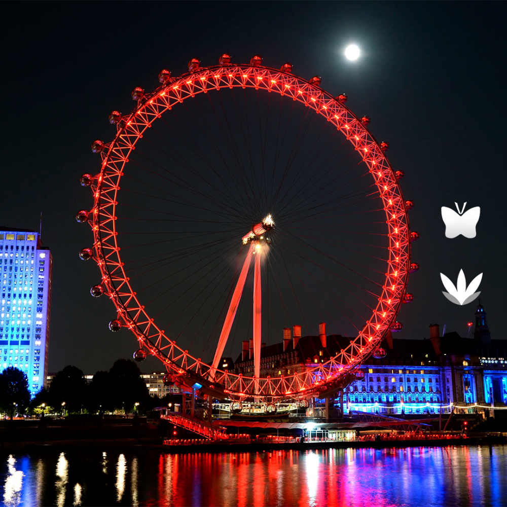 London Eye Banner